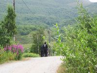 666-Intentando_Arrancar_La_Moto-2019-08-10